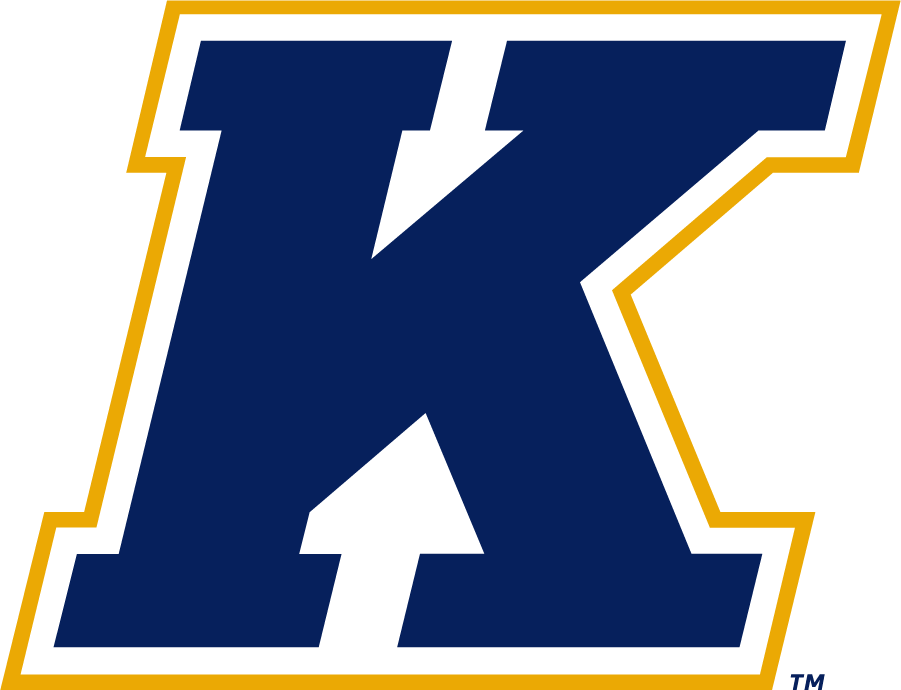 Kent State Golden Flashes 2017-Pres Secondary Logo diy DTF decal sticker